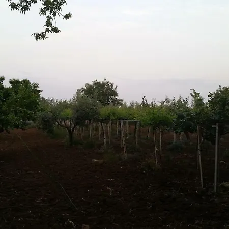 La Quercia Holiday home *